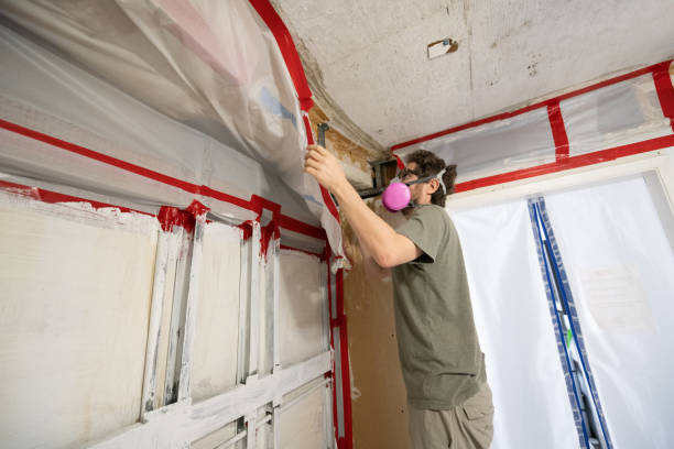 Best Asbestos and Lead Testing During Mold Inspection  in Coudersport, PA