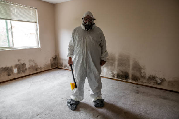 Best Mold Prevention Services  in Coudersport, PA